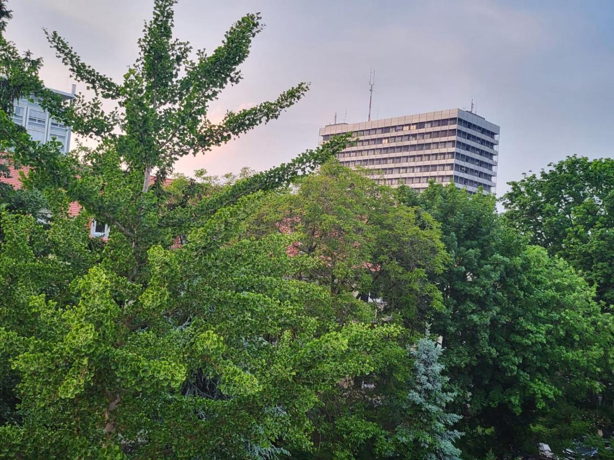 Privatzimmer An Der Uniklinik Mainz - Nur Fuer Weibliche Gaeste Lejlighed Eksteriør billede